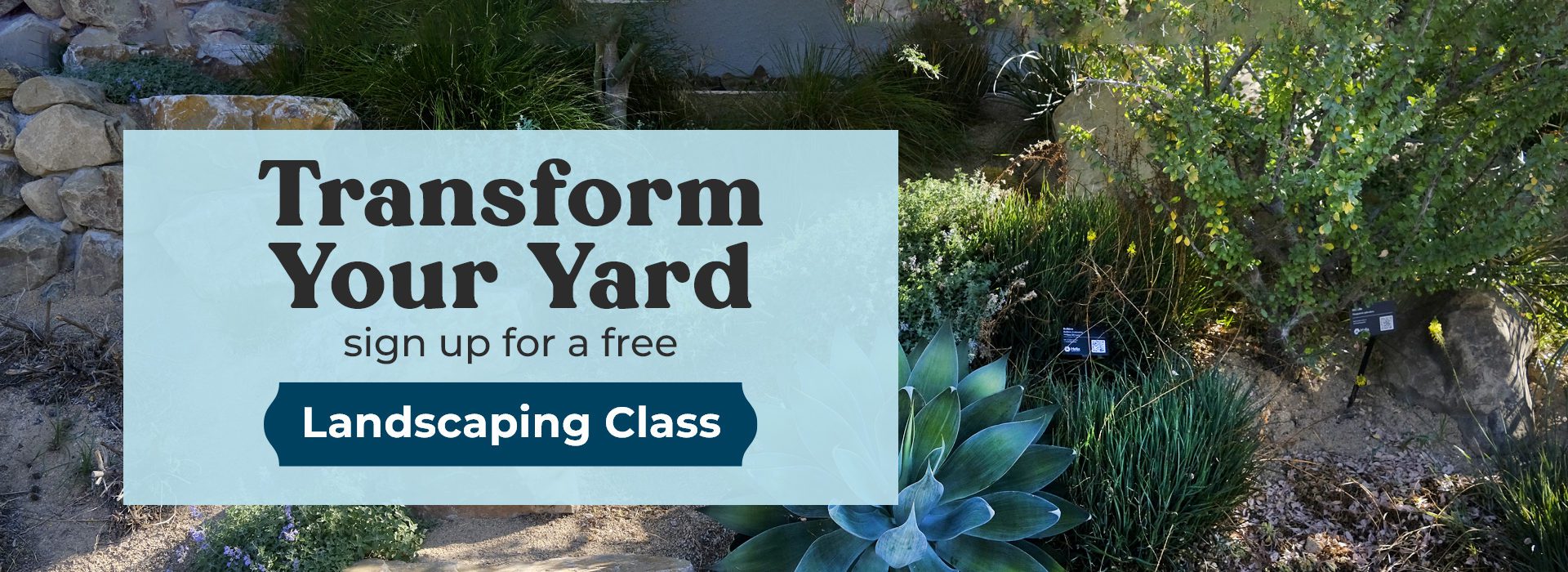Transform Your Yard